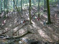 dsc03190.jpg