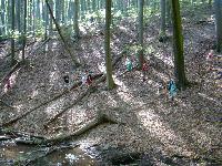 dsc03191.jpg