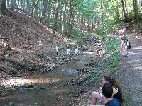 dsc03193.jpg