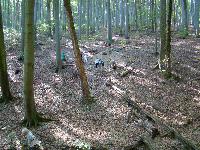 dsc03194.jpg