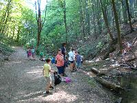 dsc03196.jpg