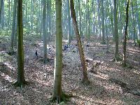 dsc03197.jpg