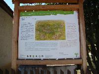 dsc03205.jpg