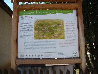 dsc03206.jpg