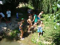 dsc03215.jpg