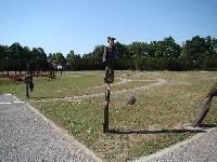 dsc03231.jpg