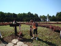 dsc03236.jpg