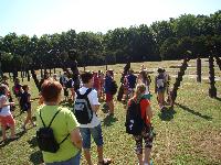 dsc03239.jpg
