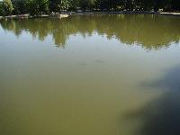 dsc03278.jpg