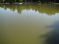dsc03279.jpg