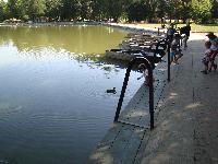 dsc03282.jpg