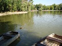 dsc03285.jpg