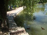 dsc03292.jpg