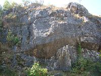 dsc03303.jpg