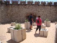 dsc03319.jpg