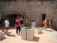 dsc03321.jpg