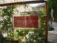 dsc03330.jpg