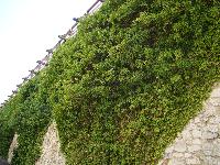 dsc03332.jpg