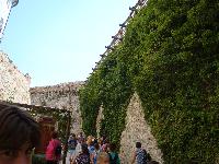 dsc03333.jpg
