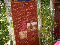 dsc03334.jpg