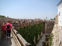 dsc03335.jpg