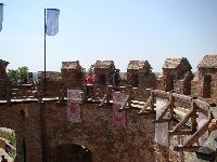 dsc03343.jpg