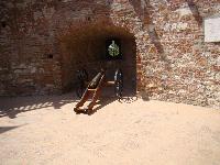 dsc03347.jpg