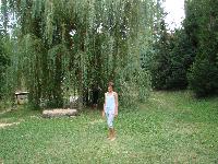 dsc03355.jpg