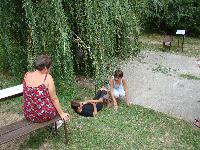 dsc03365.jpg