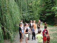 dsc03369.jpg