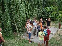dsc03370.jpg