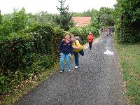 dsc03440.jpg