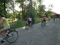 dscf0741.jpg