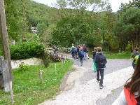 p1060863.jpg