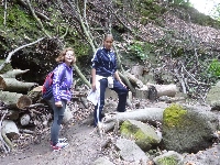 p1060911.jpg