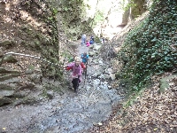 p1060945.jpg