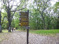 p1060985.jpg