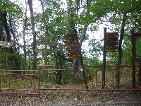 p1060994.jpg