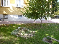 p1070001.jpg