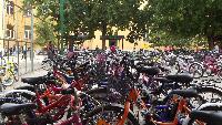 dscf5412.jpg