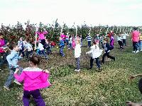 062.jpg