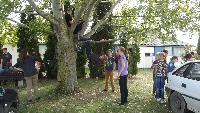 dscf6118.jpg