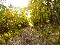 p1070487.jpg