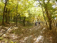 p1070489.jpg