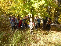 p1070505.jpg