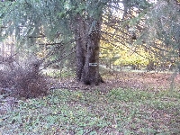 p1070516.jpg