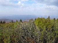 p1070525.jpg