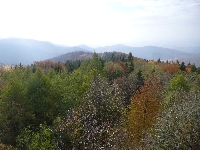 p1070526.jpg