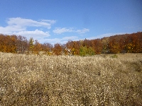 p1070539.jpg