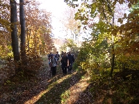 p1070550.jpg